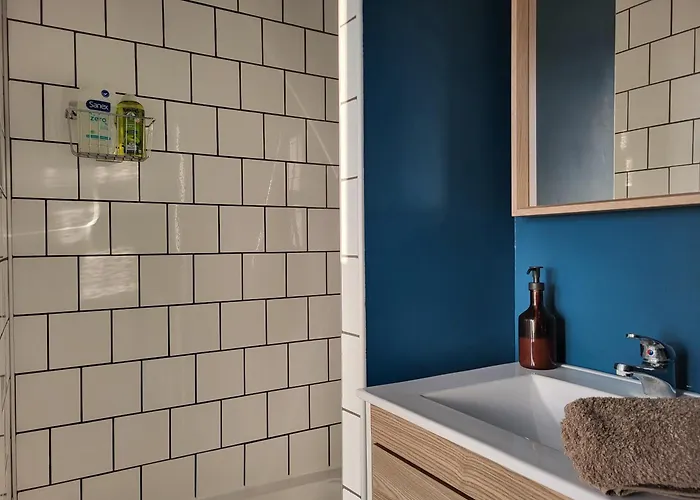 Appartement Cosy Proche Gare Et Jardin Des Plantes Classé 2 étoiles