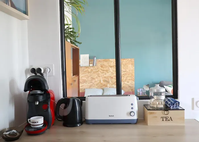 Appartement Cosy Proche Gare Et Jardin Des Plantes Classé 2 étoiles *