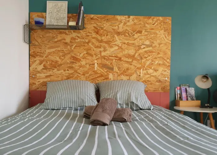 Appartement Cosy Proche Gare Et Jardin Des Plantes Classé 2 étoiles *